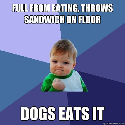 Full from eating, throws sandwich on floor Dogs eats it   Success Kid