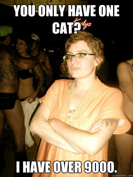 You only have one cat? I have over 9000. - You only have one cat? I have over 9000.  Unimpressed Evie