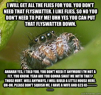 i will get all the flies for you. you don't need that flyswatter. i like flies, so no you don't need to pay me! uhh yes you can put that flyswatter down. ahahah yes, i told you, you don't need it anymore! i'm not a fly, you know. yeah are you gonna swat m - i will get all the flies for you. you don't need that flyswatter. i like flies, so no you don't need to pay me! uhh yes you can put that flyswatter down. ahahah yes, i told you, you don't need it anymore! i'm not a fly, you know. yeah are you gonna swat m  Misunderstood Spider