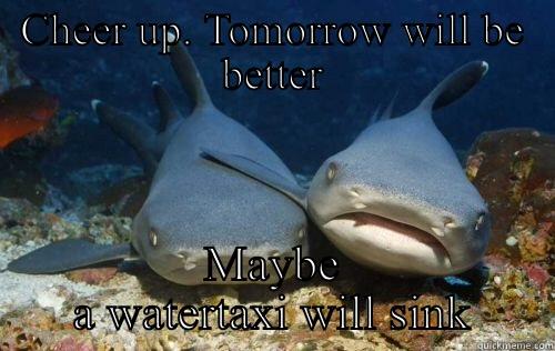 CHEER UP. TOMORROW WILL BE BETTER MAYBE A WATERTAXI WILL SINK Compassionate Shark Friend