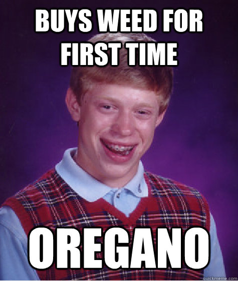 Buys weed for first time oregano  Bad Luck Brian