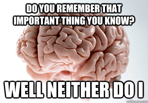 Do you remember that important thing you know? Well neither do I  Scumbag Brain