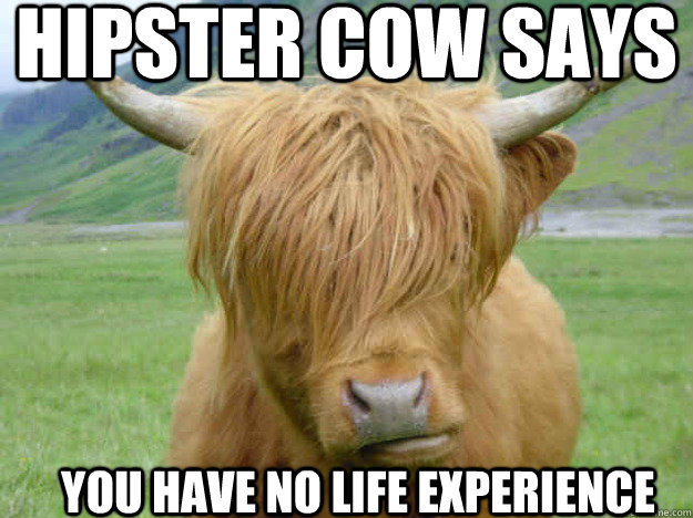 Hipster Cow Says You have no life experience  