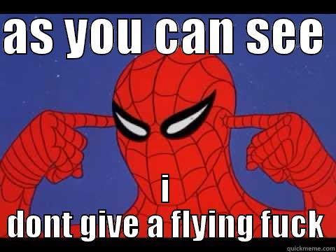 AS YOU CAN SEE  I DONT GIVE A FLYING FUCK Misc