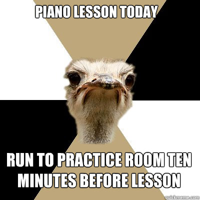 Piano Lesson Today Run to Practice Room Ten Minutes before lesson  Music Major Ostrich