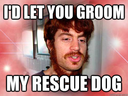 I'd let you groom my rescue dog - I'd let you groom my rescue dog  Romantic Neckbeard