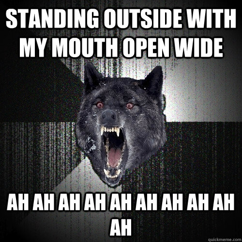 Standing outside with my mouth open wide Ah ah ah ah ah ah ah ah ah ah  Insanity Wolf