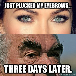 Just plucked my eyebrows... Three days later.  Eyebrows