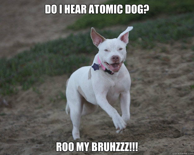 Do I Hear Atomic Dog? Roo My Bruhzzz!!!  Atomic Dog Pitbull
