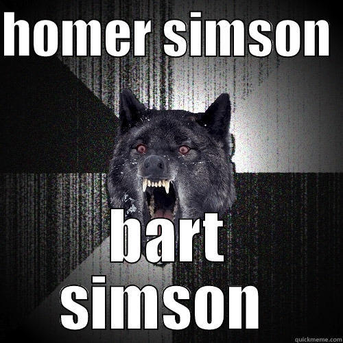 HOMER SIMSON  BART SIMSON  Insanity Wolf