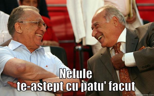 doi colegi -  NELULE TE-ASTEPT CU PATU' FACUT Condescending Wonka