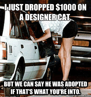 I just dropped $1000 on a designer cat.  But we can say he was adopted if that's what you're into.  FB karma whore