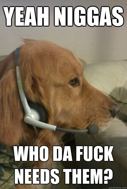 Yeah Niggas Who da fuck needs them?  Xbox Live Dog