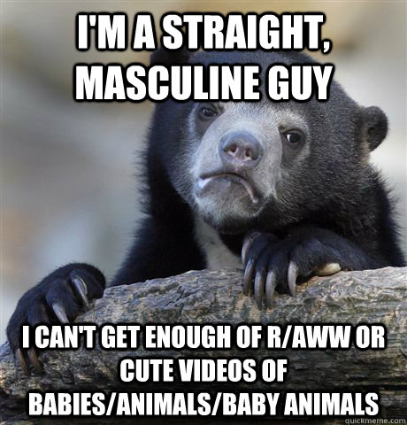 I'm a straight, masculine guy I can't get enough of r/aww or cute videos of babies/animals/baby animals  Confession Bear