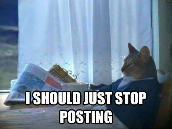  I SHOULD JUST STOP POSTING -  I SHOULD JUST STOP POSTING  morning realization newspaper cat meme