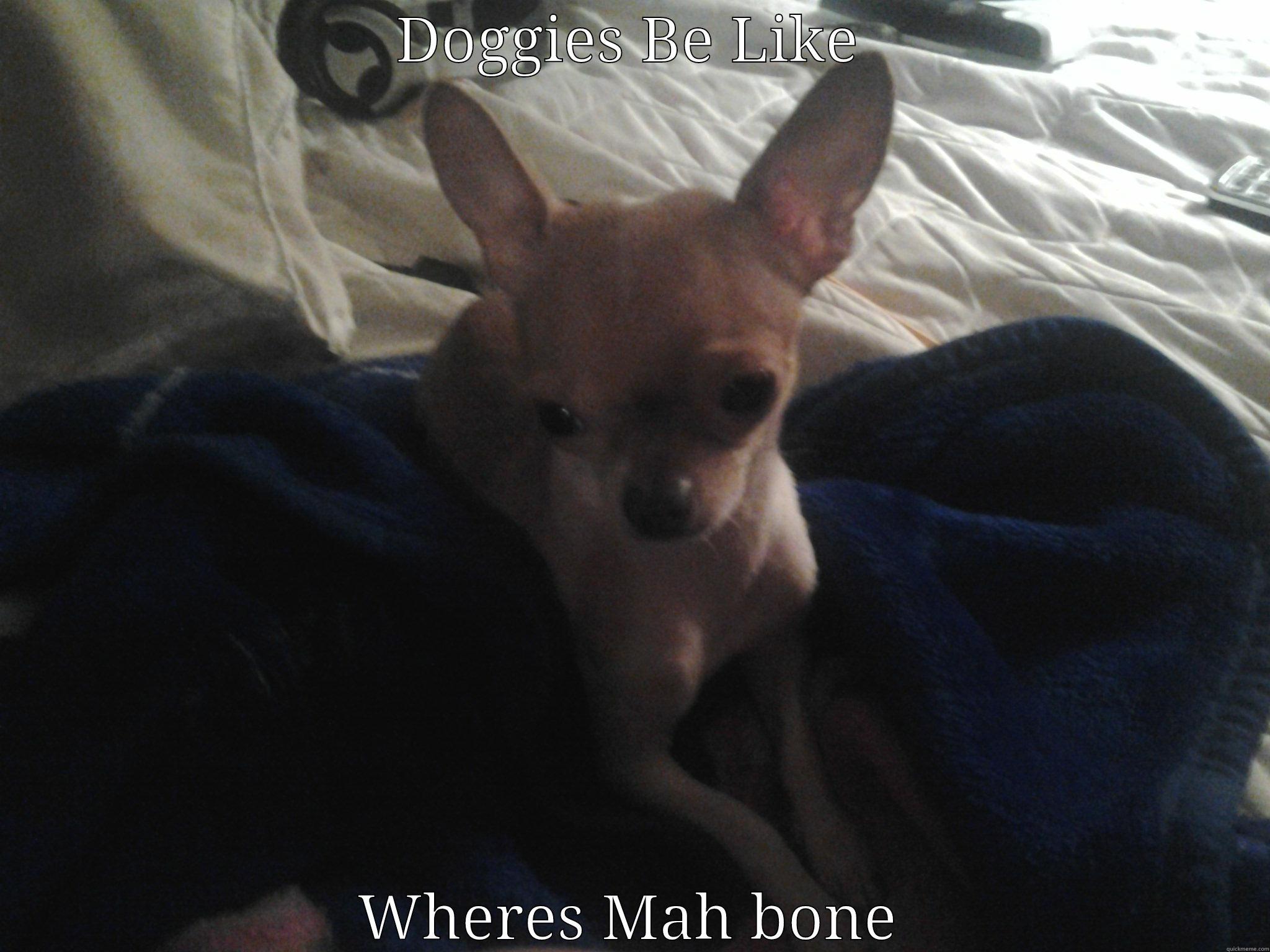 DOGGIES BE LIKE WHERES MAH BONE Misc