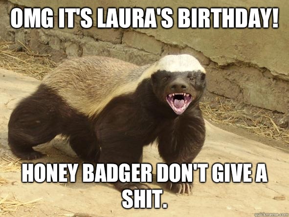OMG IT'S LAURA'S BIRTHDAY! HONEY BADGER DON'T GIVE A SHIT.  Indifferent Honey Badger