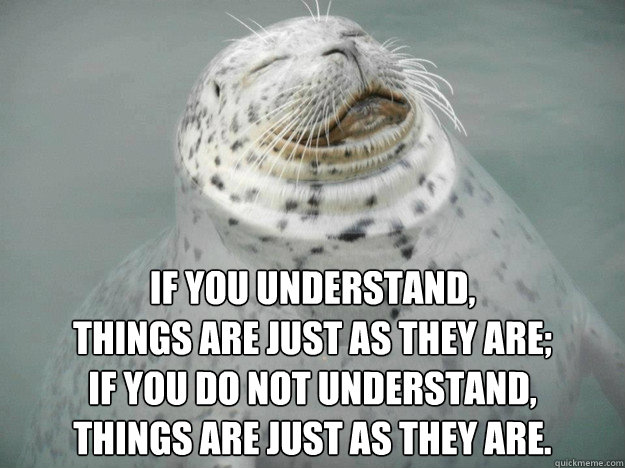 If you understand, 
things are just as they are;
if you do not understand, 
things are just as they are.  Zen Seal