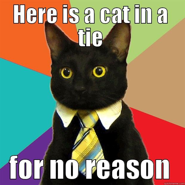 HERE IS A CAT IN A TIE FOR NO REASON Business Cat