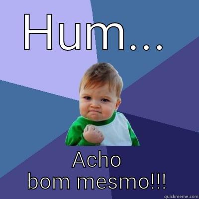 HUM... ACHO BOM MESMO!!! Success Kid