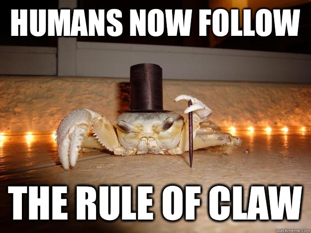 Humans Now Follow The Rule of Claw  Fancy Crab