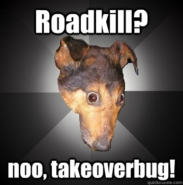 Roadkill? noo, takeoverbug! - Roadkill? noo, takeoverbug!  Depression Dog