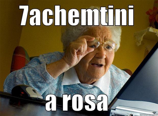 7ACHEMTINI A ROSA Grandma finds the Internet