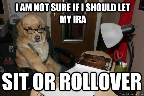 I am not sure if I should let my IRA sit or rollover  Financial Advice Dog