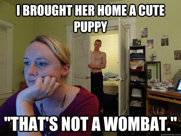 I brought her home a cute puppy 