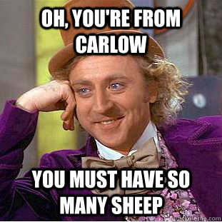 Oh, you're from carlow You must have so many sheep  You get nothing wonka