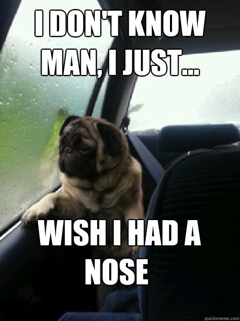 I don't know man, I just...  wish I had a nose - I don't know man, I just...  wish I had a nose  Introspective Pug