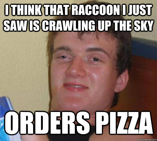 I think that raccoon I just saw is crawling up the sky Orders pizza - I think that raccoon I just saw is crawling up the sky Orders pizza  Really High Guy