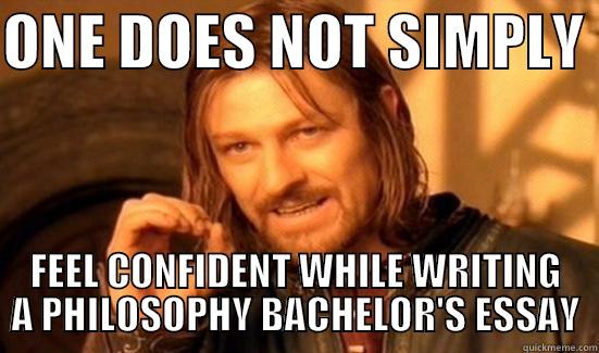 ONE DOES NOT SIMPLY  FEEL CONFIDENT WHILE WRITING A PHILOSOPHY BACHELOR'S ESSAY Boromir