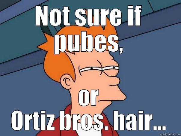 NOT SURE IF PUBES, OR ORTIZ BROS. HAIR... Futurama Fry