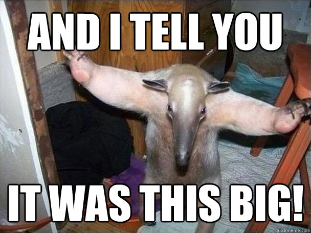 And I tell you it was this big!  I got this