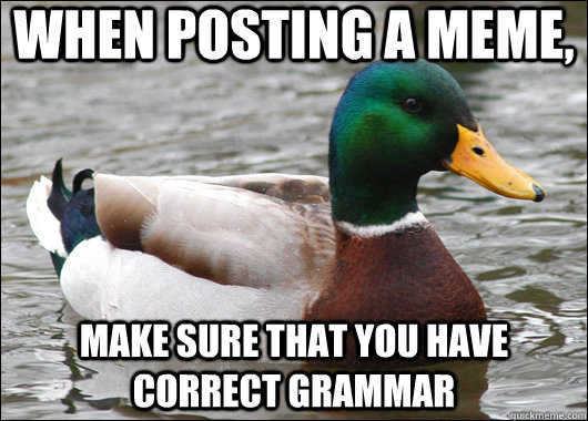When posting a meme, make sure that you have correct grammar  Actual Advice Mallard