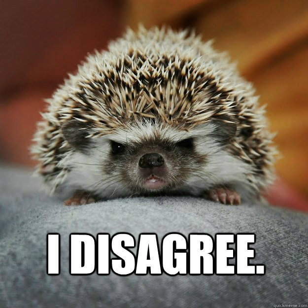 I disagree.  - I disagree.   Angry Hedgehog