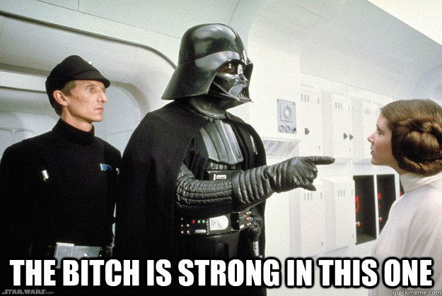  The bitch is strong in this one  Darth Vader