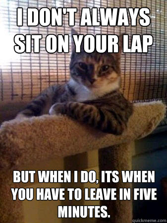 I don't always sit on your lap but when i do, its when you have to leave in five minutes.  The Most Interesting Cat in the World