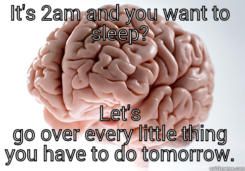 IT'S 2AM AND YOU WANT TO SLEEP? LET'S GO OVER EVERY LITTLE THING YOU HAVE TO DO TOMORROW. Scumbag Brain