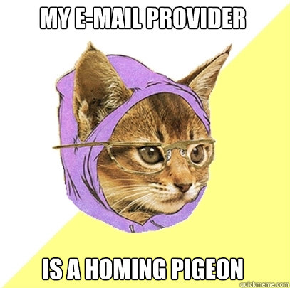 My e-mail provider is a homing pigeon  Hipster Kitty