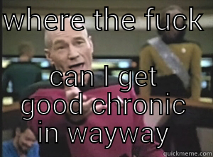 buying weed - WHERE THE FUCK  CAN I GET GOOD CHRONIC IN WAYWAY Annoyed Picard