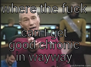 WHERE THE FUCK  CAN I GET GOOD CHRONIC IN WAYWAY Annoyed Picard