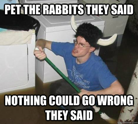 Pet the Rabbits they said nothing could go wrong they said  They said
