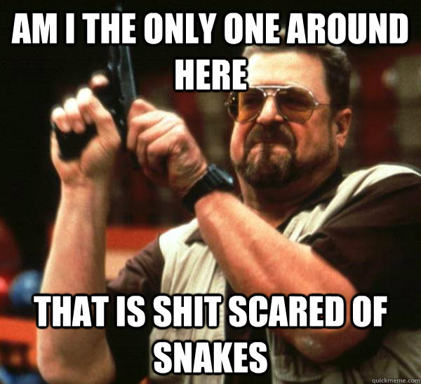 Am i the only one around here that is shit scared of snakes  Am I the only one backing France