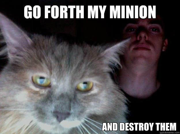 Go forth my minion and destroy them - Go forth my minion and destroy them  Creepy Cat Owner