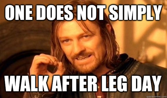 ONE DOES NOT SIMPLY WALK AFTER LEG DAY  One Does Not Simply