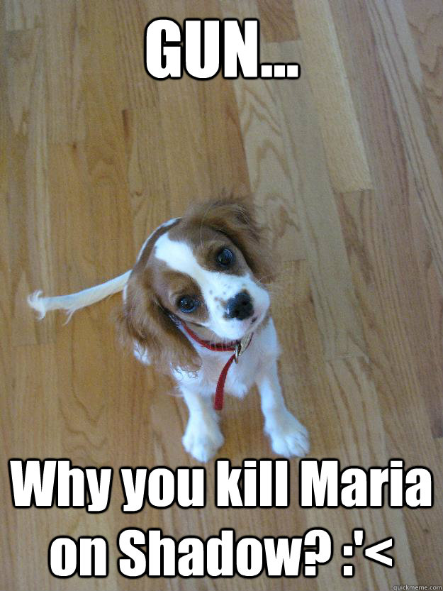 GUN... Why you kill Maria on Shadow? :'< - GUN... Why you kill Maria on Shadow? :'<  Cute Murder Puppy