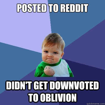 Posted to reddit didn't get downvoted to oblivion  Success Kid