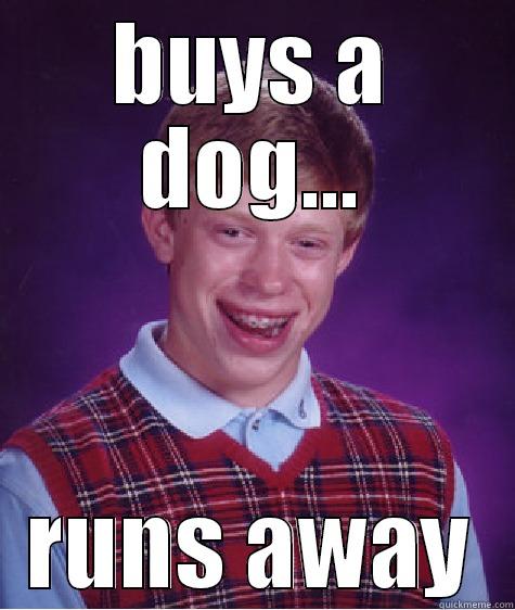 BUYS A DOG... RUNS AWAY Bad Luck Brian